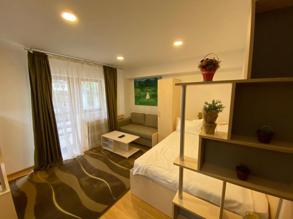 Sinaia Chic Minisuite Mirage-Self Check-In&Free Parking Ngoại thất bức ảnh