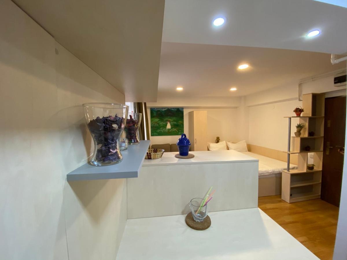 Sinaia Chic Minisuite Mirage-Self Check-In&Free Parking Ngoại thất bức ảnh