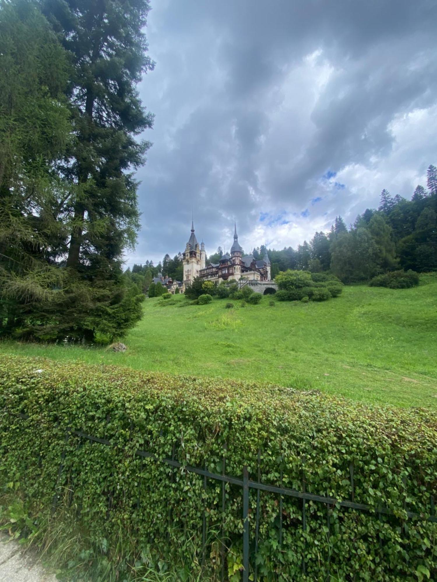 Sinaia Chic Minisuite Mirage-Self Check-In&Free Parking Ngoại thất bức ảnh