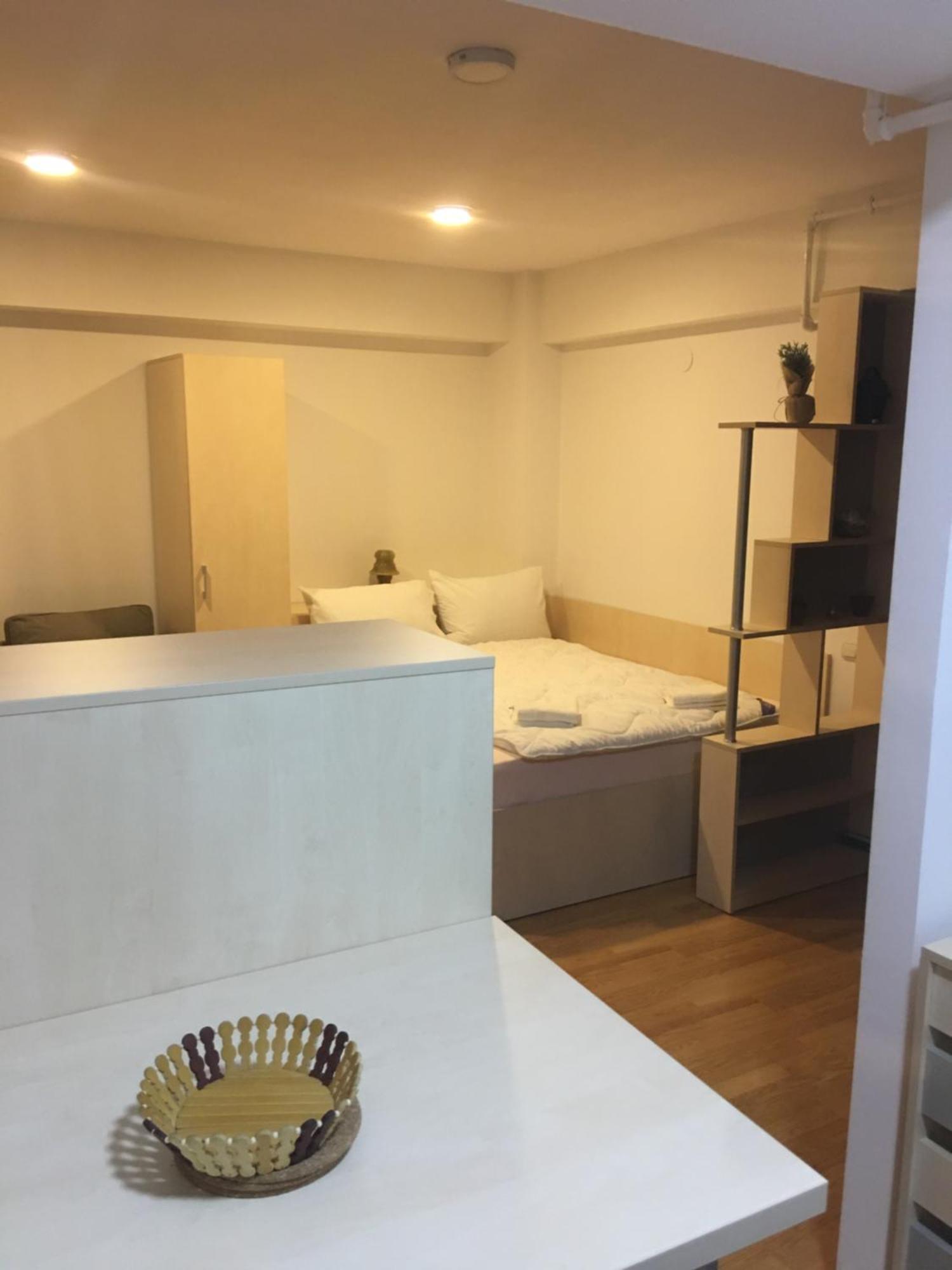 Sinaia Chic Minisuite Mirage-Self Check-In&Free Parking Ngoại thất bức ảnh